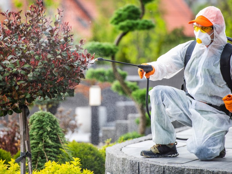 Karabağlar Haşere İlaçlama